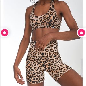 🚫 SOLD 🚫 Booty by Brabants Wild Card Shorts